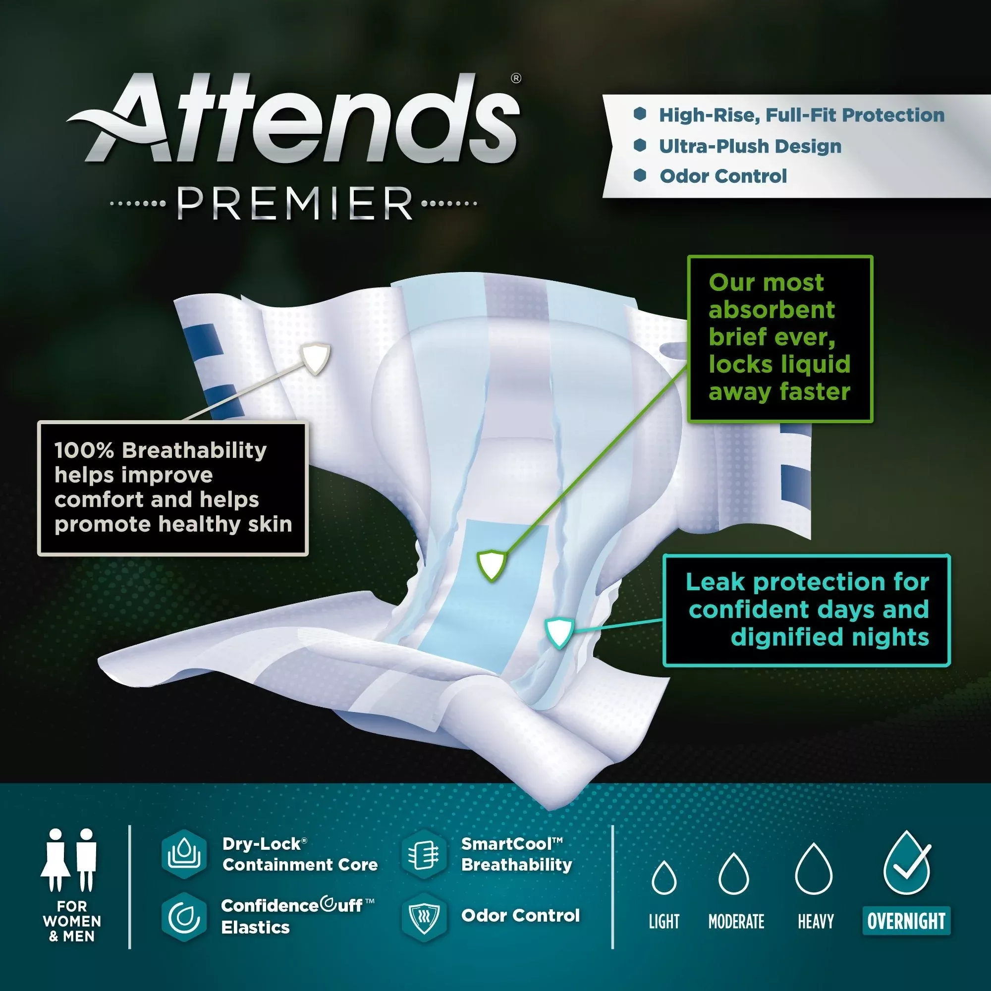 Attends Premier Briefs, Large, 12 ct